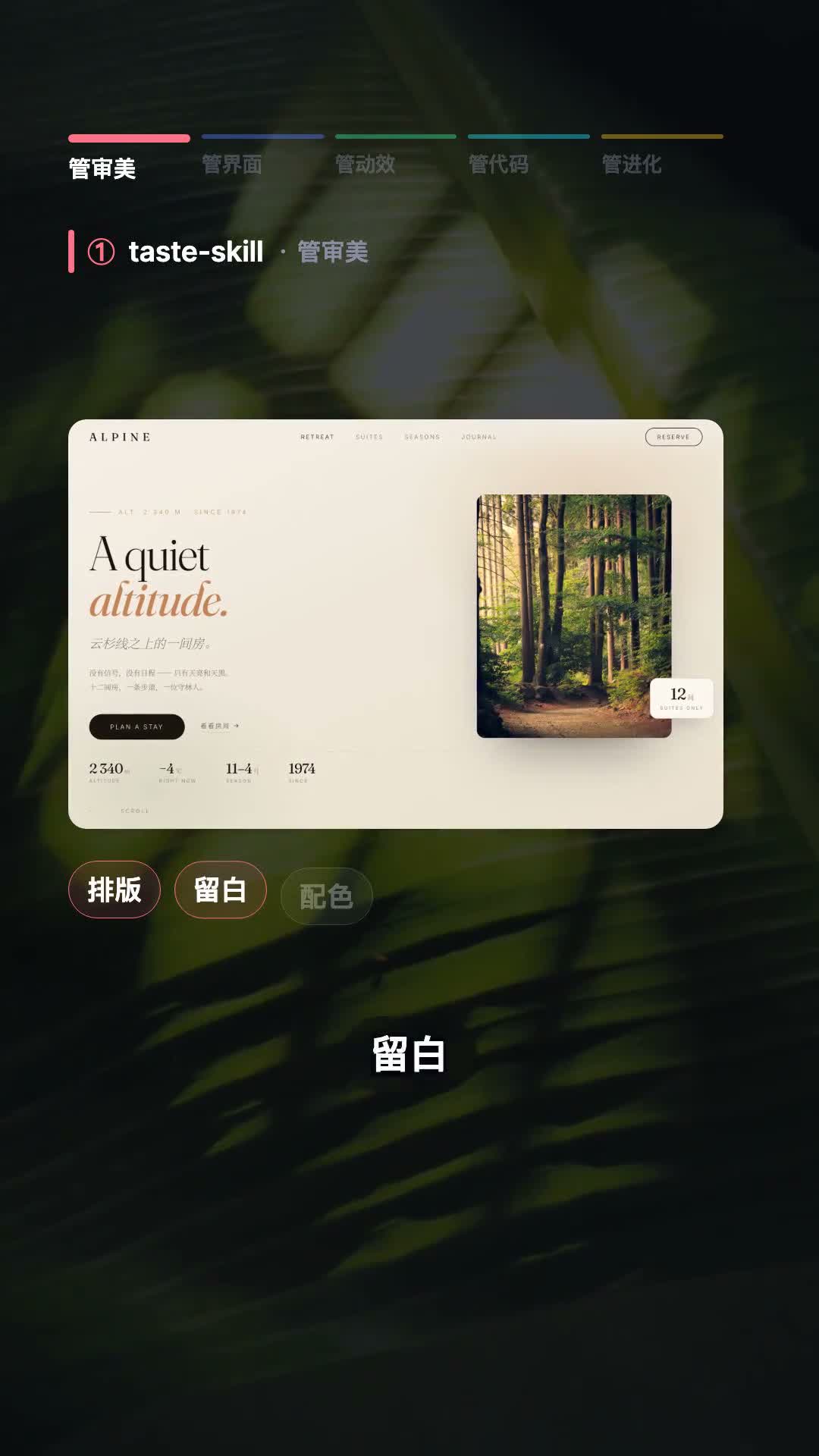 taste-skill 在视频中展示多种网页设计语言的截图