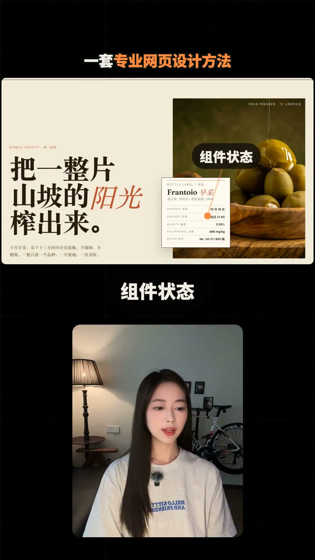 视频画面展示用 UI Skill 按专业网页设计流程生成页面