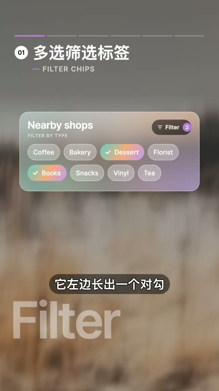 多选筛选标签交互的视频演示截图